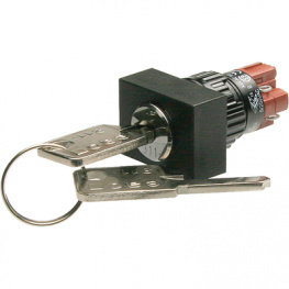 51-196.025D2F, Key switch 24 x 30 mm Latching function 2 NO+2 NC, EAO