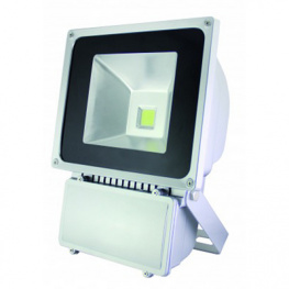 LED-FLG80Scw, LED Floodlight, Ledino