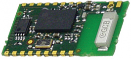 AMB2300, Bluetooth module 2.0 Class 2, AMBER WIRELESS