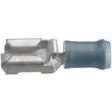 165536-1 Blade receptacle Tinned Brass Blue 6.3 x 0.8 mm