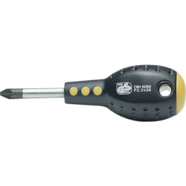 G868238BU, Screwdriver Pozidriv PZ2, Sundove