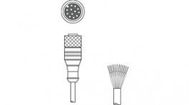 KD S-M12-CA-P1-050, Connection Cable,5 m, LEUZE ELECTRONIC