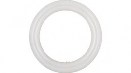 80100040820, LED Lamp G10q, Bailey