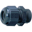 53017240 Cable gland M25 x 1.5 black