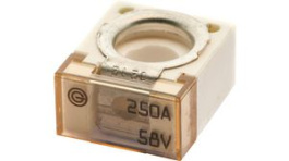 CF250, Auto Fuse 250 A&nbsp;&nbsp;58 V, iMaxx Companies