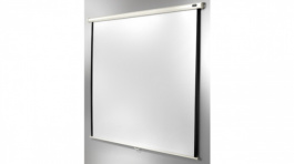 1090040, Economy roller screen 250 x 180 cm, Celexon