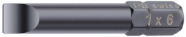 C6-100/6, Bit with Colour Coding 39 mm 6, PB Swiss Tools