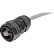 RJF 6B Cable plug RJ45