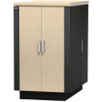 AR4024IA NetShelter CX 24U