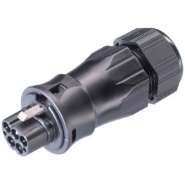 RST20I5S S1 ZR3 V SW, Connector, male socket Screw Connection, Wieland Electric